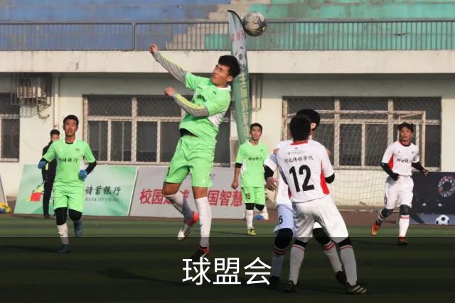 球盟会公司简介配图